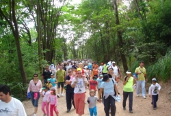 1ª Caminhada Ecológica