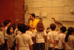 Visita ao Museu de Ciências Naturais Puc Minas