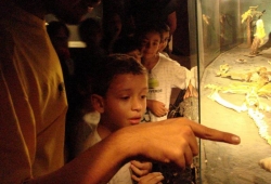 Visita ao Museu de Ciências Naturais Puc Minas