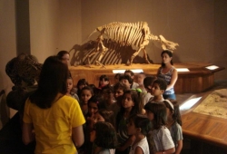 Visita ao Museu de Ciências Naturais Puc Minas