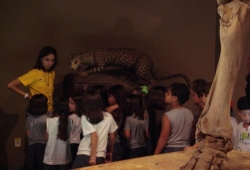 Visita ao Museu de Ciências Naturais Puc Minas