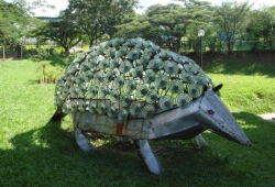 Visita ao Museu de Ciências Naturais Puc Minas