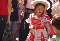 Festa Junina 2008 - 