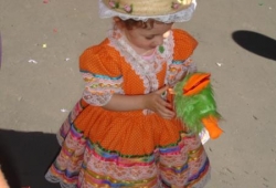 Festa Junina 2008 - 