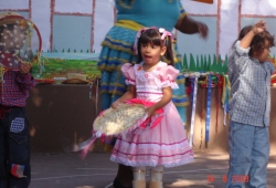 Festa Junina 2008 - 