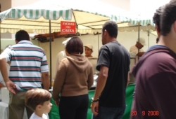 Culturarte 2008