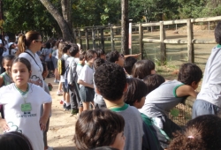 Zoologico