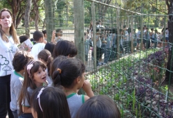 Zoologico