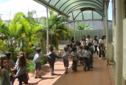 TEATRO - O GATO DE BOTAS