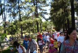 CAMINHADA - FESTA DA FAMÍLIA