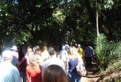 CAMINHADA - FESTA DA FAMÍLIA