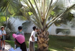 Instituto Inhotim - Passeio Educativo