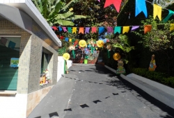 FESTA JUNINA 