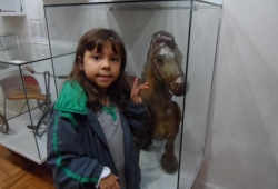 EXCURSÃO MUSEU DO BRINQUEDO