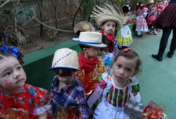 FESTA JUNINA 2015