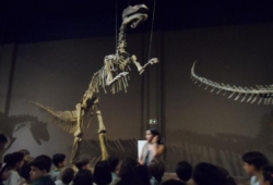 MUSEU PUC MINAS / 2º PERÍODO & 1º ANO