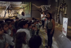 MUSEU PUC MINAS / 2º PERÍODO & 1º ANO