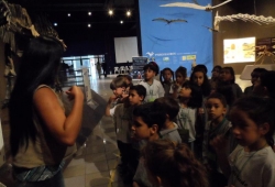 MUSEU PUC MINAS / 2º PERÍODO & 1º ANO