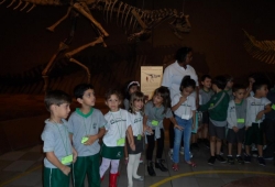 MUSEU PUC MINAS / 2º PERÍODO & 1º ANO