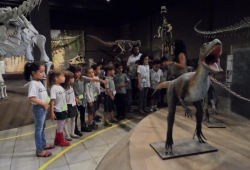 MUSEU PUC MINAS / 2º PERÍODO & 1º ANO