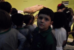 MUSEU PUC MINAS / 2º PERÍODO & 1º ANO