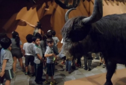 MUSEU PUC MINAS / 2º PERÍODO & 1º ANO