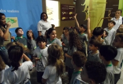 MUSEU PUC MINAS / 2º PERÍODO & 1º ANO