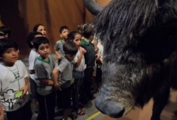 MUSEU PUC MINAS / 2º PERÍODO & 1º ANO