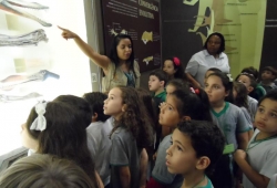 MUSEU PUC MINAS / 2º PERÍODO & 1º ANO